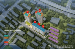 苏河湾集团取保利