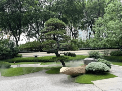 <strong>园林取每栋建建间</strong>